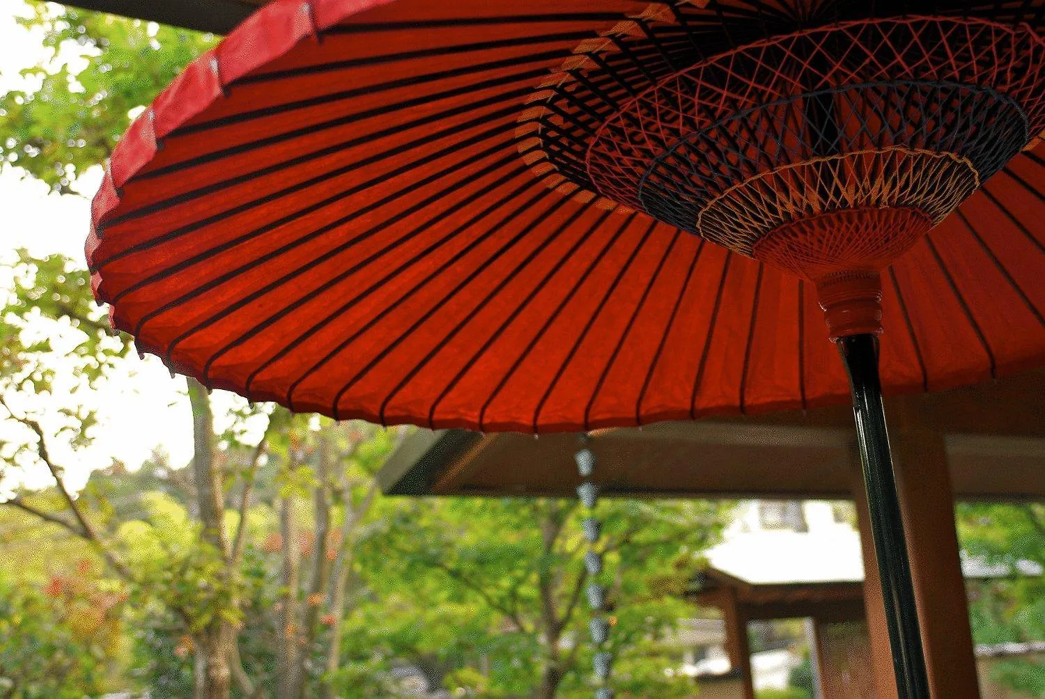 Ryokan Kiritani Hakoneso Giappone